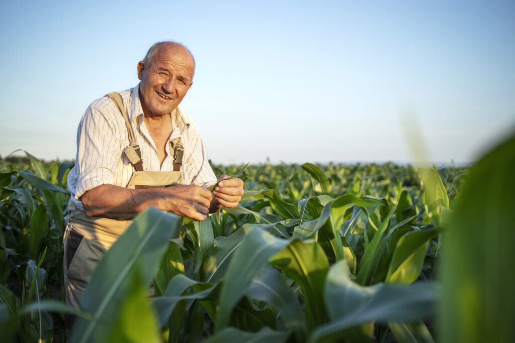 como melhorar o valor da aposentadoria rural